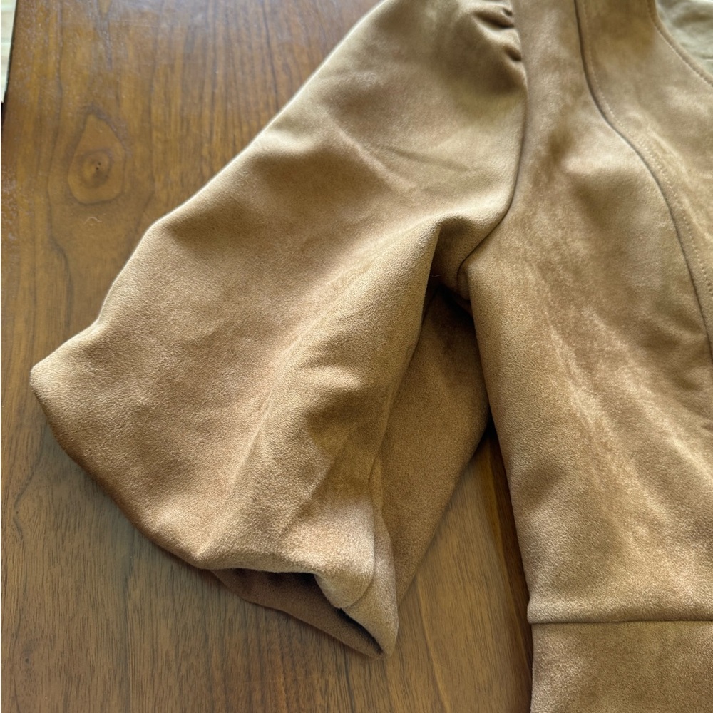 Ann Taylor Faux Suede Dress - Picture 6 of 9
